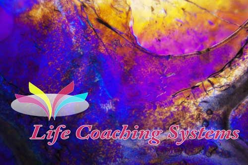 Life Coaching Systems Motivational Website